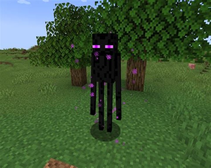 Aggressive enderman tag with /summon?