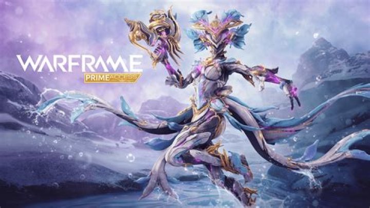 Can't Build My Warframe
