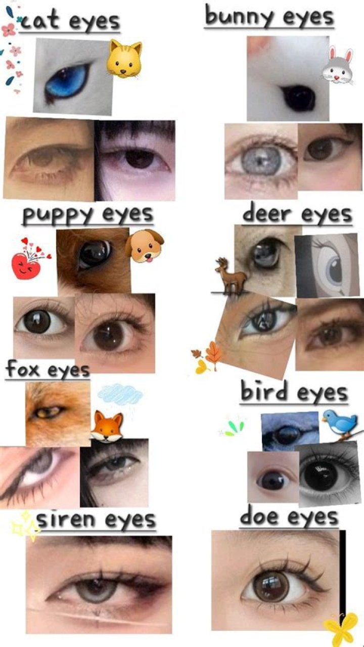 Can you change your eye shape in Animal Crossing:New Leaf?
