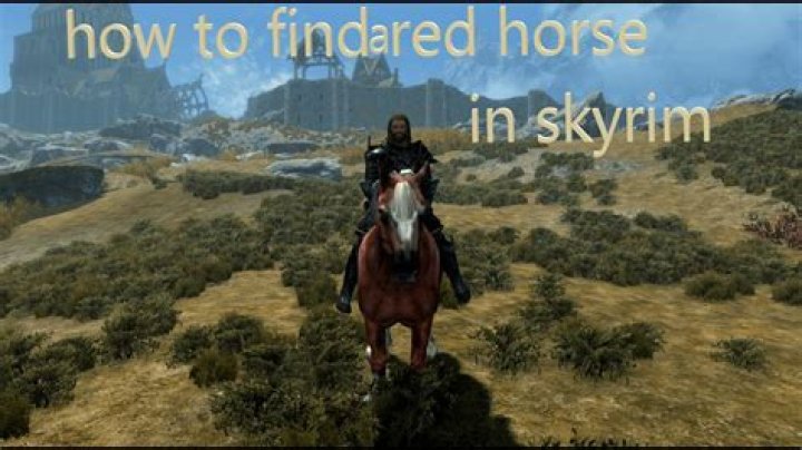 Can you lose a purchased horse in Skyrim?