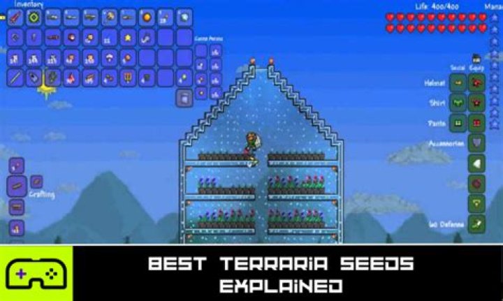 Cant Find Terraria 1.2.4.1 server software