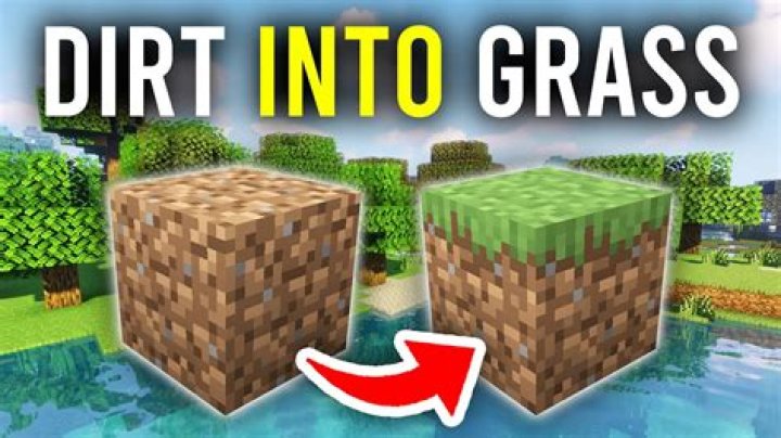 Dirt won't turn into grass after several days