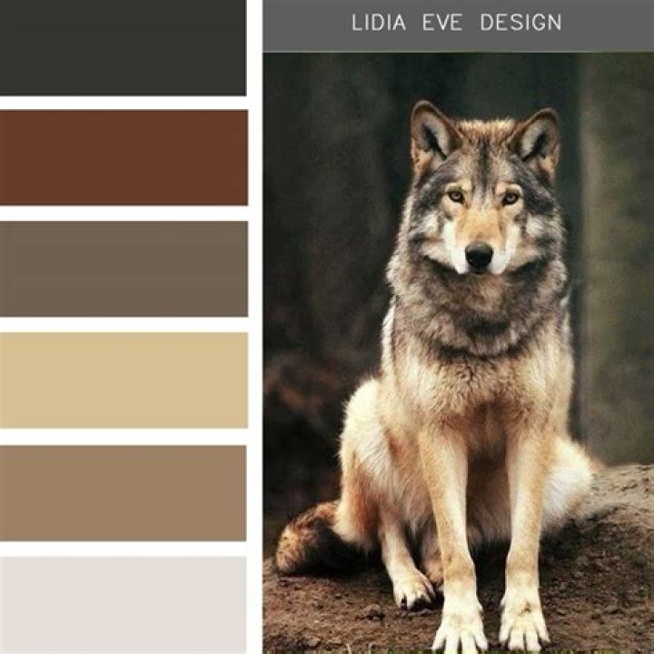 Does my hair color in Skyrim affect my werewolf color?