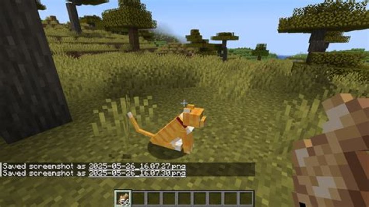 How can you try to spawn a pre-tamed cat with or without commands? [duplicate]