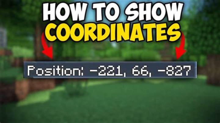 How do coordinates work in minecraft? (SSP)