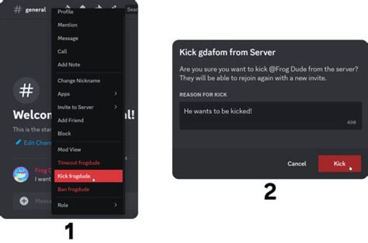 How do I kick someone from my PE server?