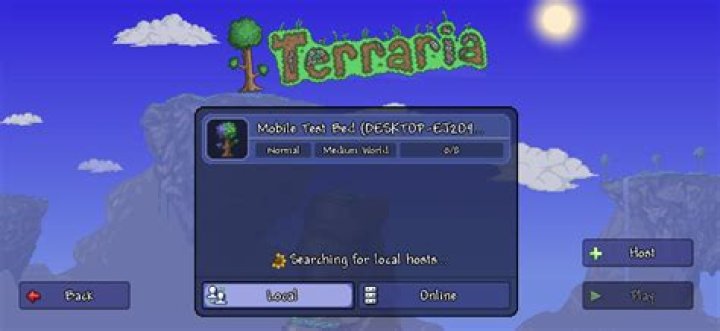 How do I set up a Terraria multiplayer server?