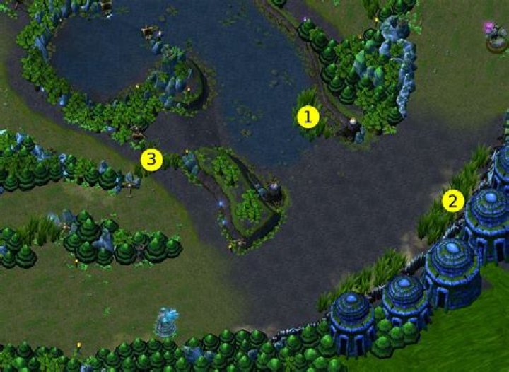 How do I ward properly in League of Legends?