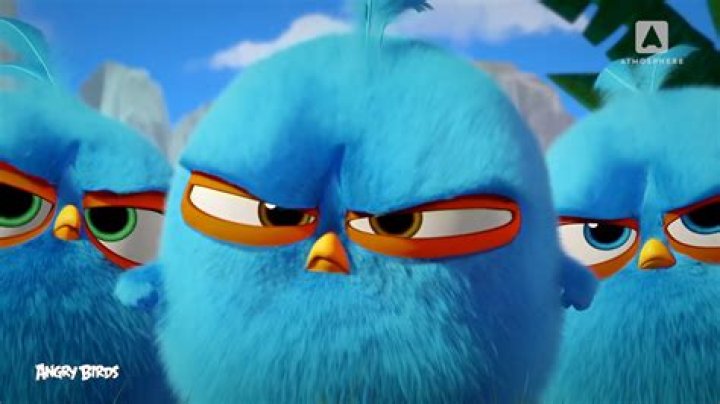 How do the boomerang birds work in Angry Birds?