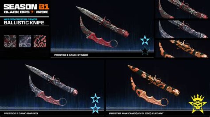 How do you use the ballistic knife in black ops 4?