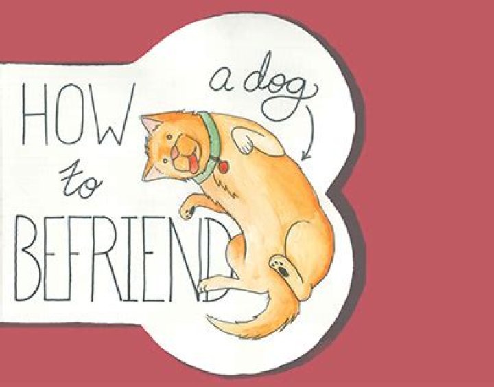 How to befriend a dog?