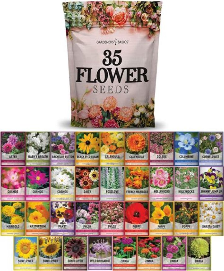 How to get more seed packets to complete 40 seed packets quest?