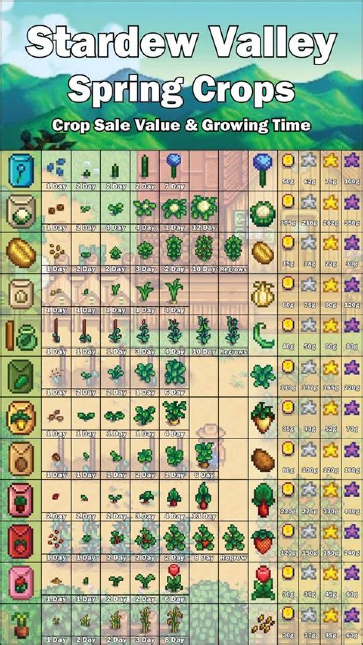 How to get seeds in Stardew valley?