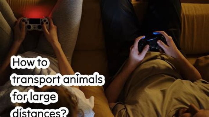 How to transport animals for large distances?