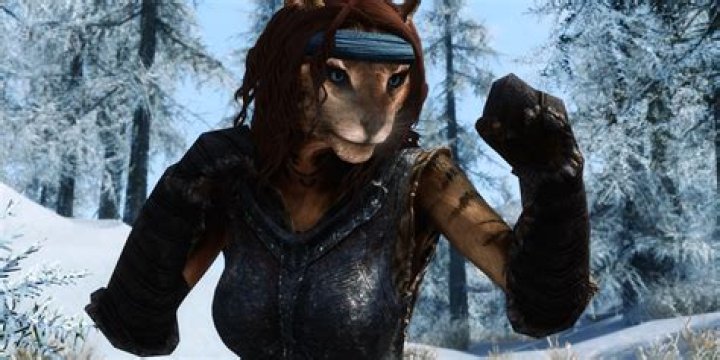 How to use Perks in Skyrim