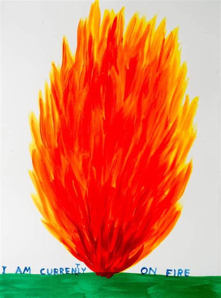 I am currently on fire. Can I survive this? [duplicate]