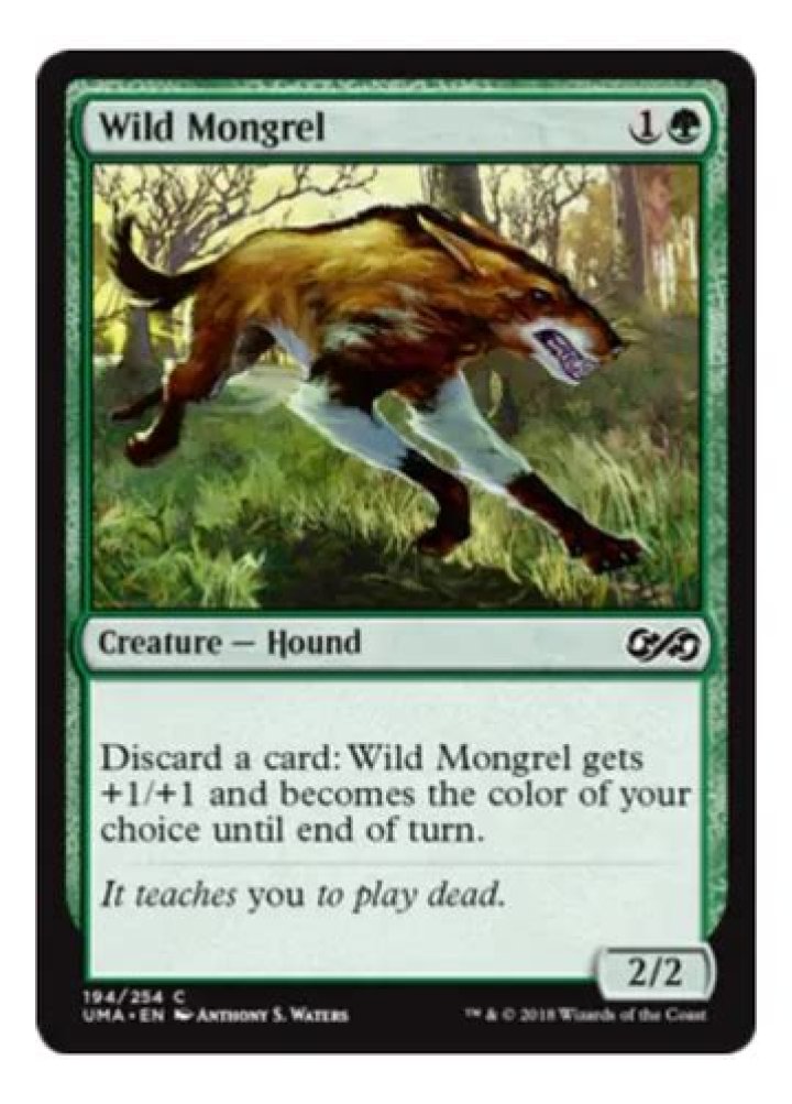 I can't pacify a Wild Mongrel?