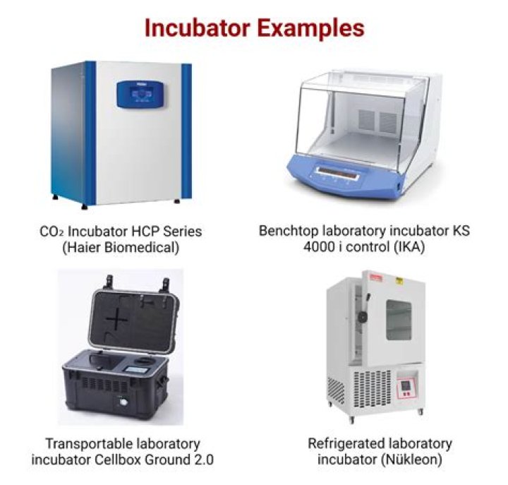 Infinite vs. Limited Use Incubators