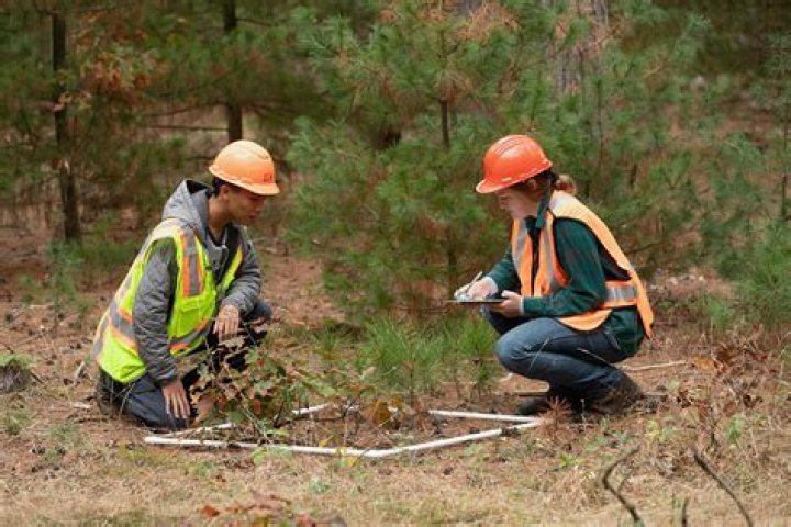 Is a half-staffed foresters lodge just as efficient per worker as a fully staffed one?