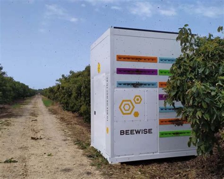 Is it possible to create an artificial bee hive?