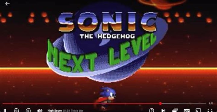 Is there a game called Sonic: The Next Level?