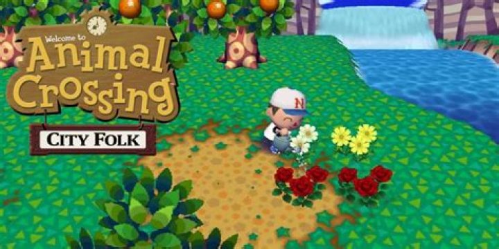 Is there an Animal Crossing City Folk face guide?