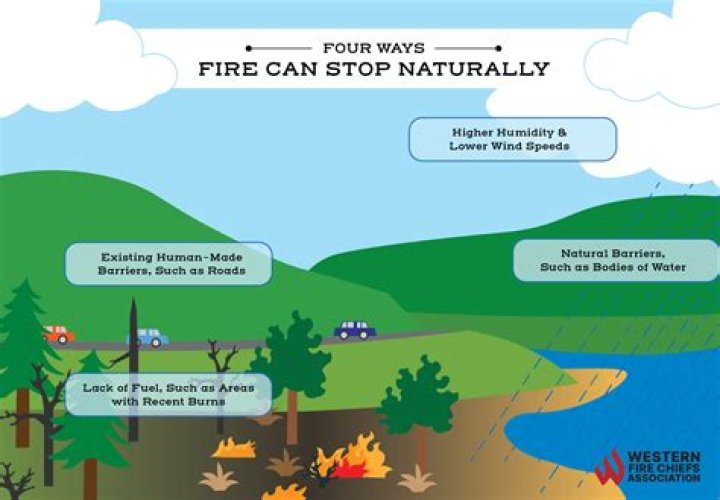 Is there any way to stop wildfires?