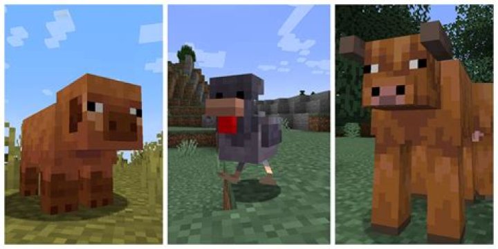 Minecraft 1.14.2 functions not working