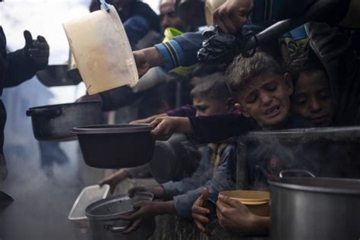 People are hungry while food is available