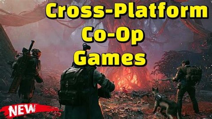 Portal 2 Cross Platform Coop [duplicate]