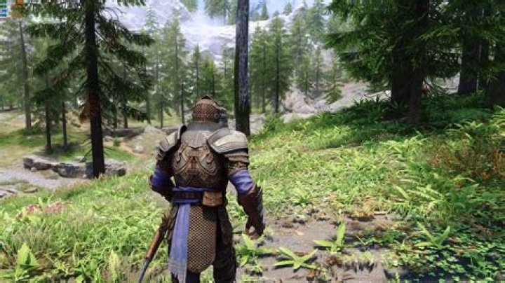Skyrim "You already have a follower" issue