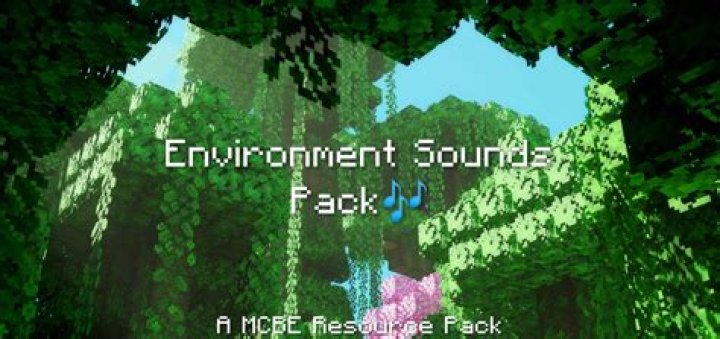 Some Minecraft sounds are not playing