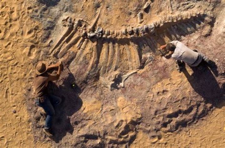 Tips to finding dinosaur bones