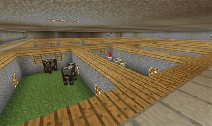 Underground animal farm isn't working