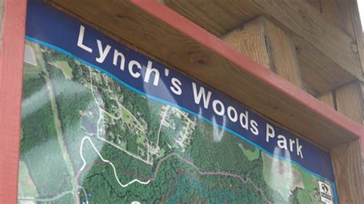 What's the timer on the tower in Lynchwood used for?