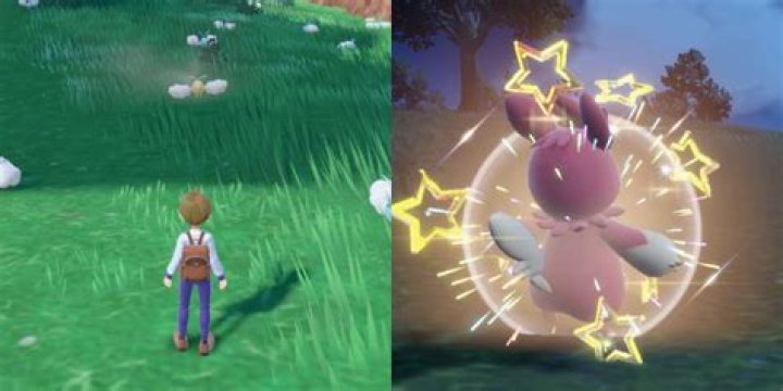 What are the chances of finding a Shiny Magikarp?