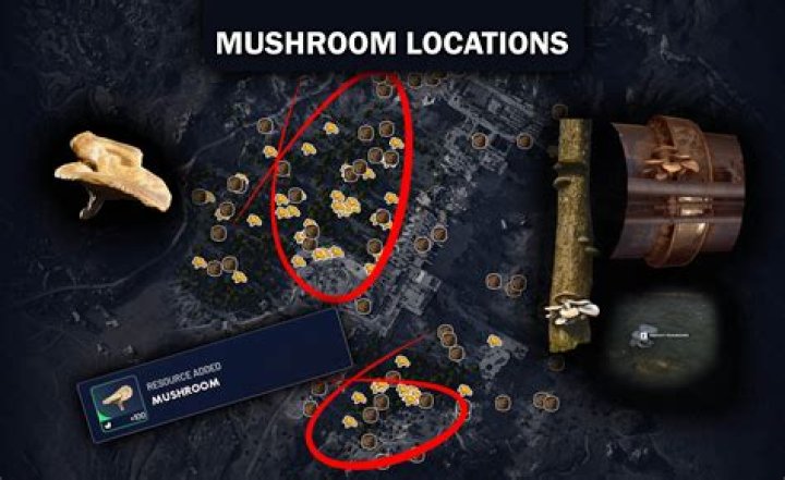 What are the hanging mushrooms for in the Super Adventure Box?