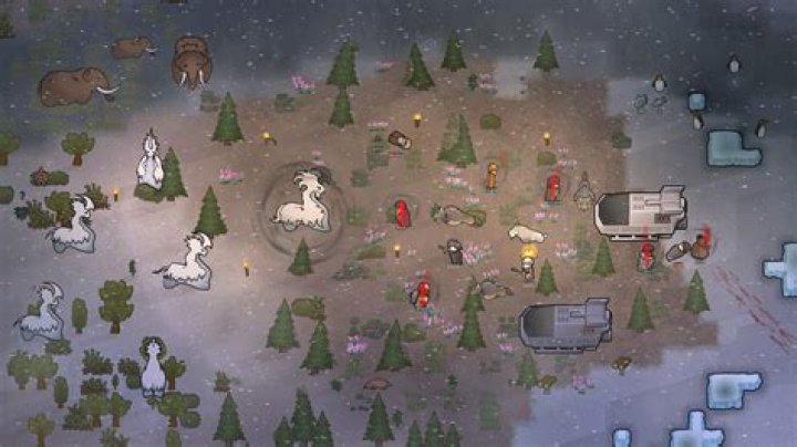 What can I do in Rimworld after getting the basics set up?