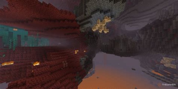 What do Netherworld Citizens do?