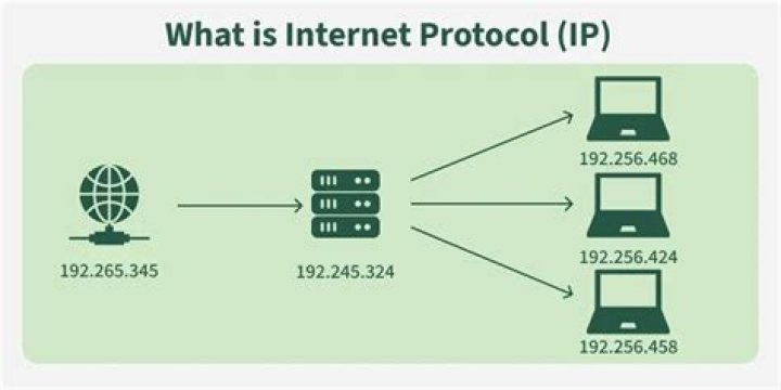 What does IP stand for?