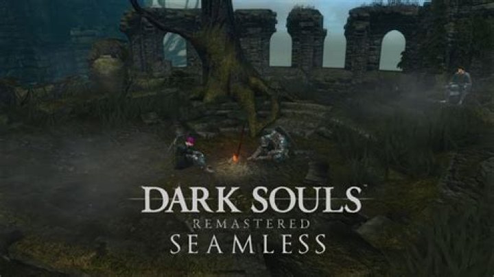 What is this grey status effect in Dark Souls Remastered?