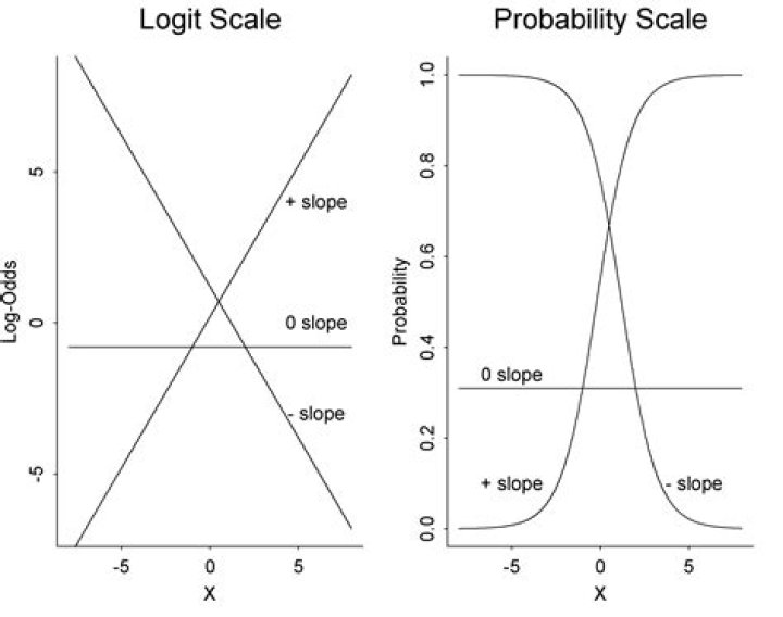 What is usually meant by logit scale or log scale?