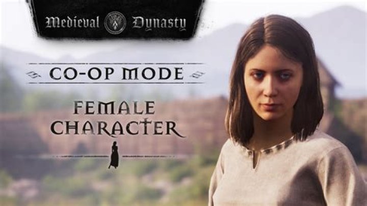 When to (not) play Fable 3 in co-op mode?