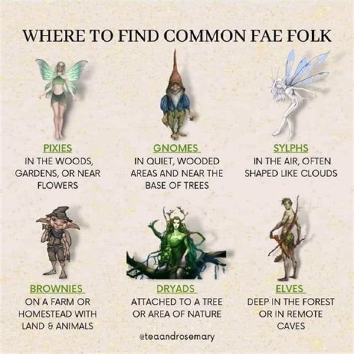 Where are the places I can find fairies for my bottles?