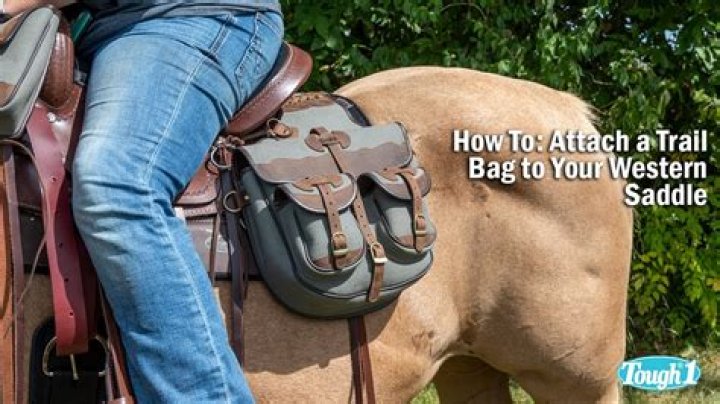 Where can I get some saddlebags?