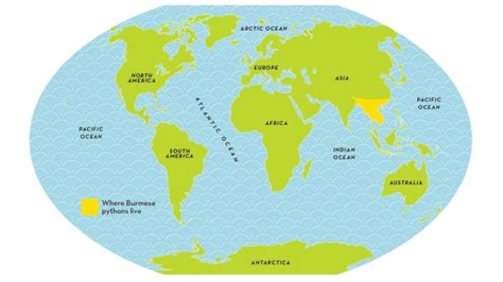Where did 'Soon™' originate?
