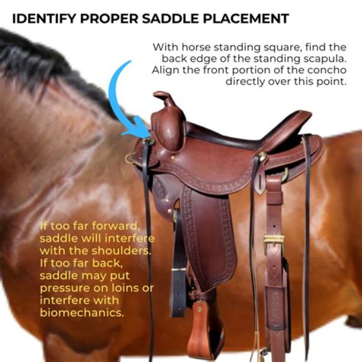 Where is my saddle in Beecher's Hope?