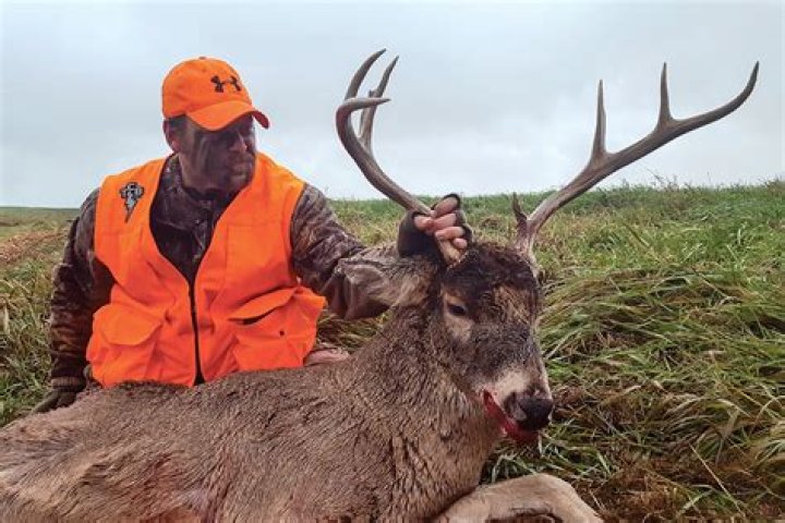 Why does Hunting make sense?
