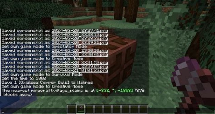 Why does the /locate command in minecraft not work?