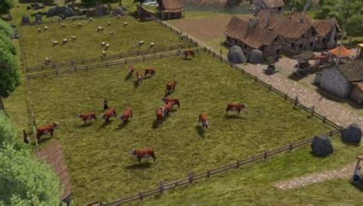 Why isn't my pasture working in Banished?